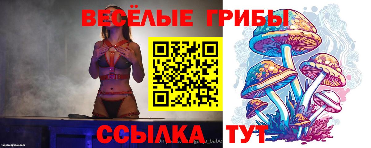 Строитель  Псилоцибиновые грибы Psilocybe  где купить наркоту  Псилоцибиновые грибы GOLDEN TEACHER  Вход с VPN 
